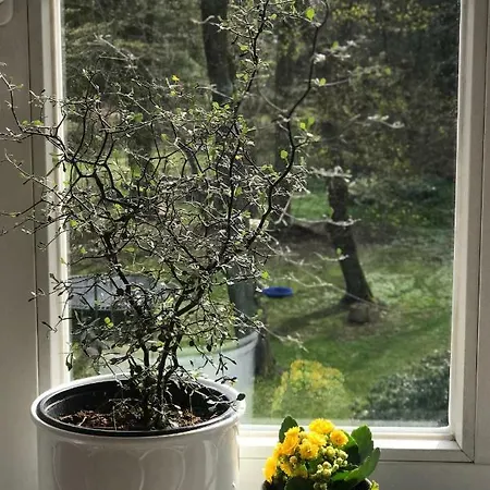 Leipziger Logis Appartement *