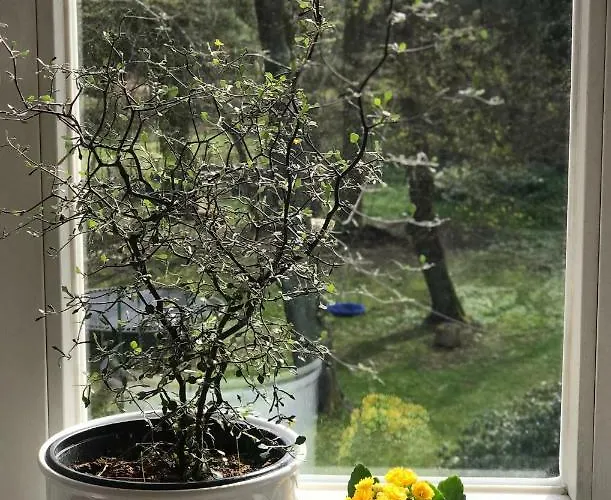 Leipziger Logis Apartmán *